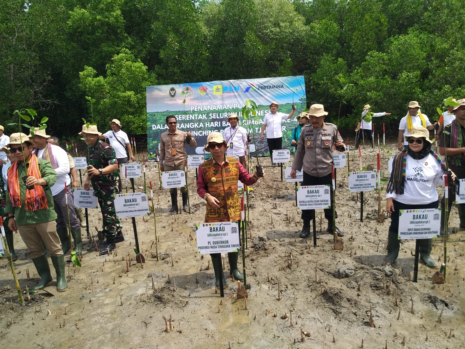 Penjabat Gubernur NTT Ajak Masyarakat Jaga Kelestarian Mangrove